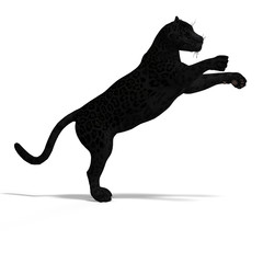 Big Cat Black Jaguar