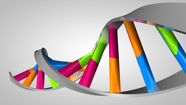 dna basen