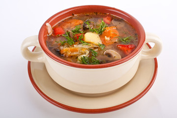 vegetable and mushroom soup