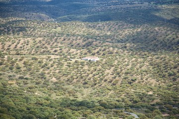 farm aerial view
