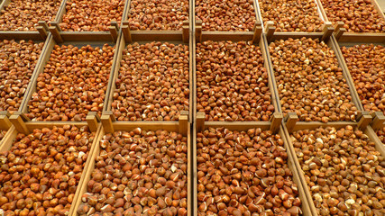Tulip bulbs on display