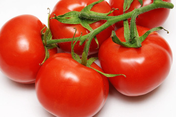 rote tomaten