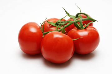 rote tomaten