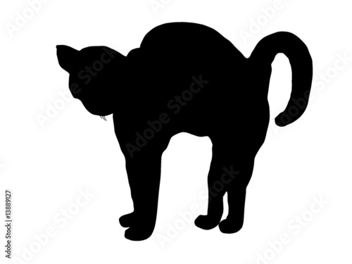 "Katze macht Buckel" Stockfotos und lizenzfreie Vektoren