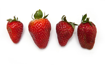 Strawberries isolated on a white studio background.