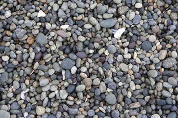 Pebbles on Beach