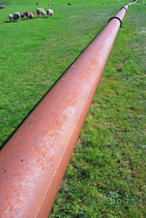 Alte Rohrleitung an der Küste