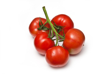 Tomatoes isolated ona white studio background