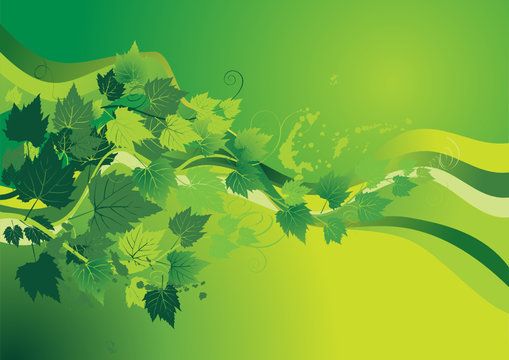 green background with vine leaves - vector
