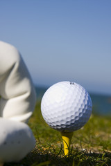 golf ball on a tee