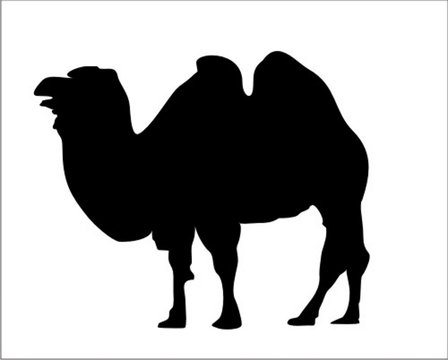 Trampeltiersilhouette