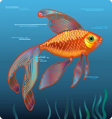 Selbstklebende Fototapeten goldener Fisch © Anna Rassadnikova