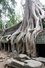 Fototapeta na wymiar Angkor Preah Khan
