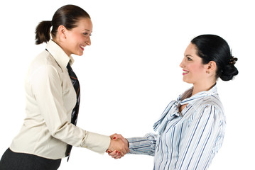 Handshake business woman teamwork