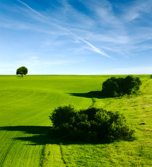 beautiful spring landscape and cloudy sky