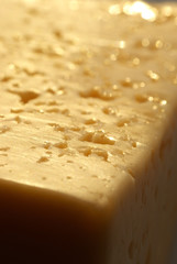 Cheese close-up