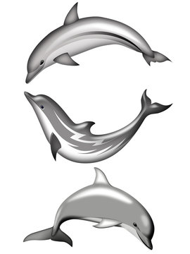 three gray dolphins swimming white background clip art preview