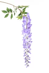 Rolgordijnen wisteria © PUBLICITY