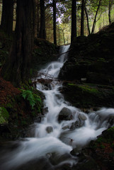 Obraz premium Cascata