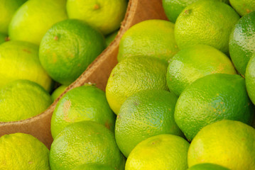 Limone - lime 01