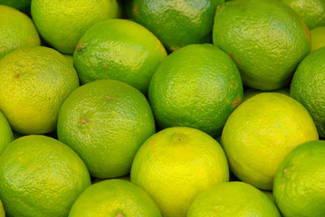 Limone - lime 02