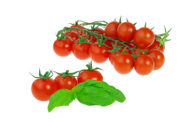 Tomate und Basilikum - tomato and basil 13