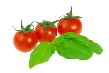 Tomate und Basilikum - tomato and basil 15