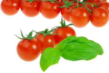 Tomate und Basilikum - tomato and basil 16