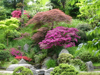 jardin zen