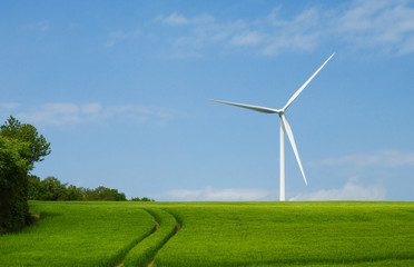 champ d'éoliennes