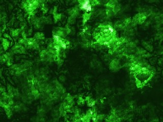 Green and black background