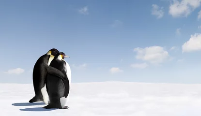 Outdoor-Kissen Pinguin-Liebe © Jan Will