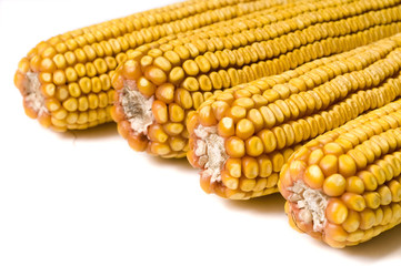 Corn cob isolated on white