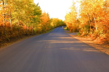 Fototapeta premium A road in autumn