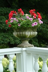 Flowers in a stone pot on display