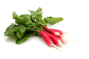 Fresh bio long radish on white background