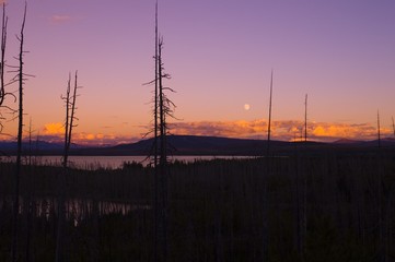 A view of a lake against the rising moon