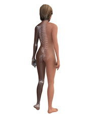 Naklejka premium transparenter weiblicher körper mit skelett