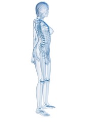 transparenter weiblicher k&ouml;rper