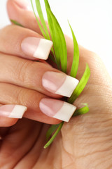 french manicure nails