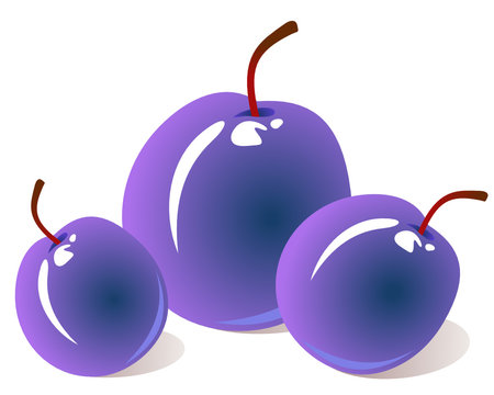 purple plums on white background clip art preview
