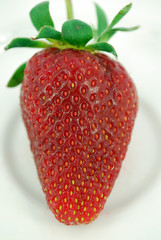 strawberry