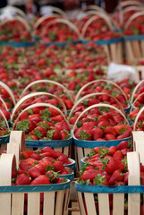 fête de la fraise - Velleron Vaucluse