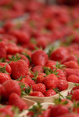 f&ecirc;te de la fraise - Velleron Vaucluse