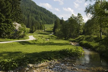 Fototapeta na wymiar Chodnik w Park Narodowy Berchtesgaden, Bawaria, Niemcy