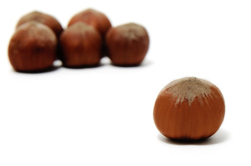 hazelnuts