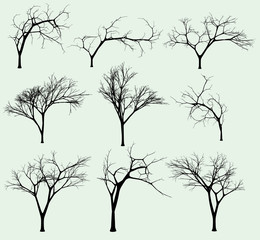Obraz premium Zestaw sylwetki drzew
