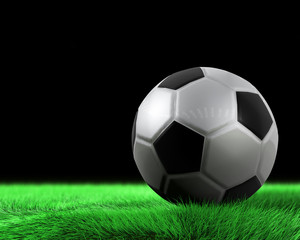 Fototapeta na wymiar Soccerball and green grass in detail