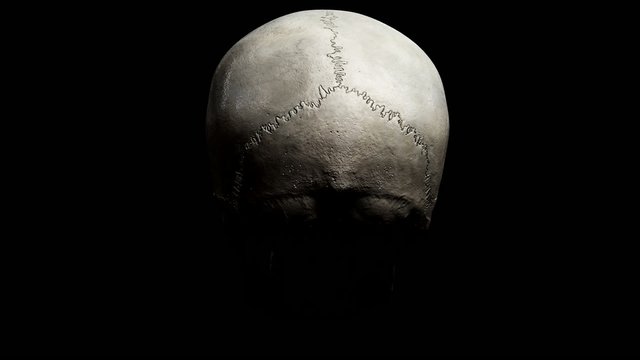 Skull 3d realistic spinning