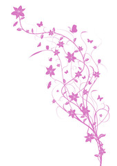 Floral illustration Flowers Ornaments Ornamental Design